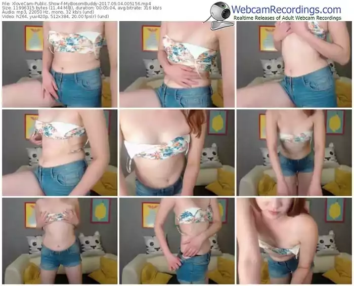 xlovecam-mybosombuddy-webcam-show-09_04_2017-00_51_56