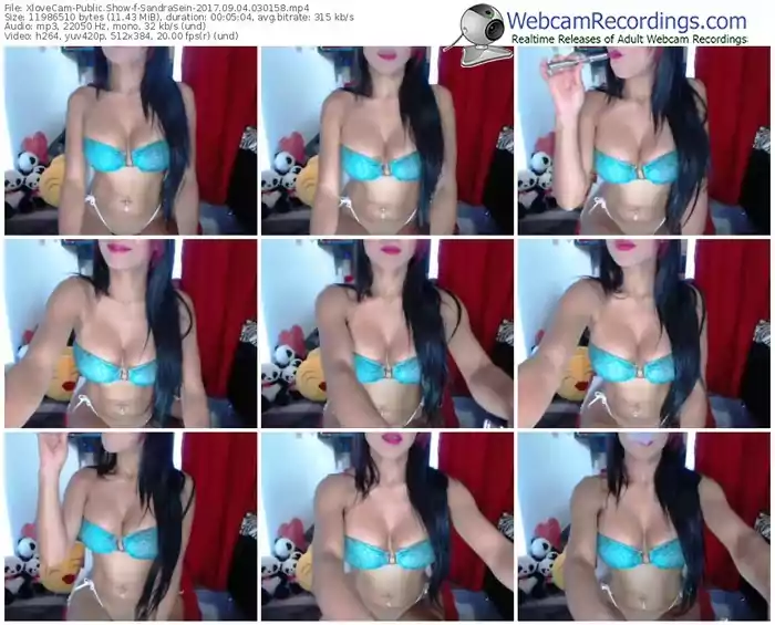 xlovecam-sandrasein-webcam-show-09_04_2017-03_01_58