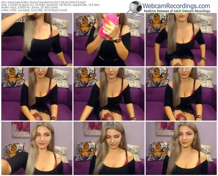 xlovecam-sandykiss-webcam-show-09_05_2017-20_52_23