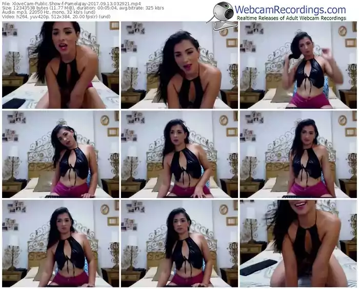 xlovecam-pamelajay-webcam-show-09_13_2017-03_29_21