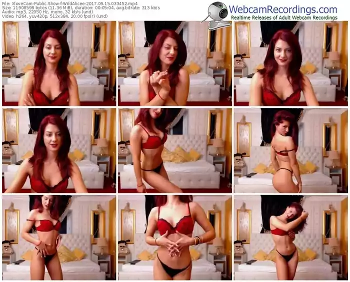 xlovecam-wildalicee-webcam-show-09_15_2017-03_34_52