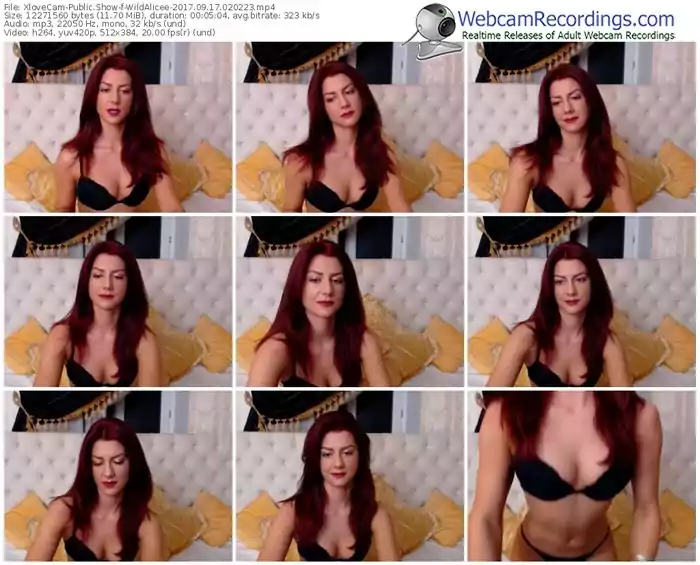 xlovecam-wildalicee-webcam-show-09_17_2017-02_02_23