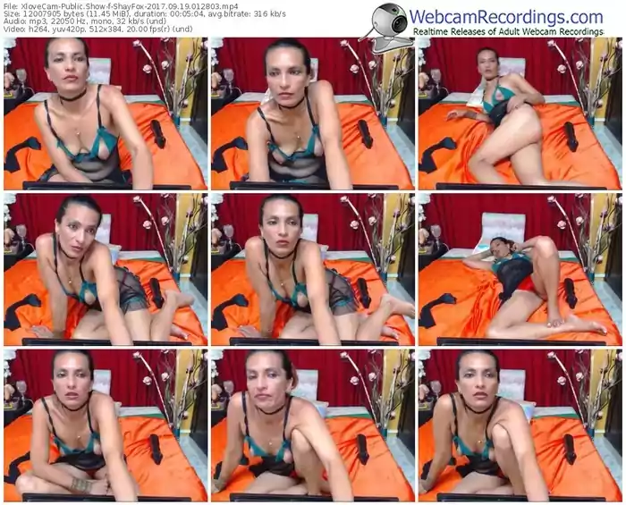 xlovecam-shayfox-webcam-show-09_19_2017-01_28_03