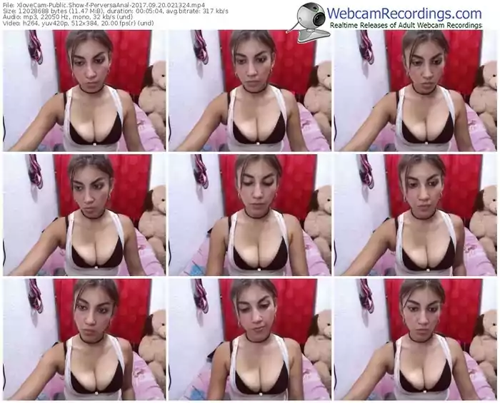 xlovecam-perversaanal-webcam-show-09_20_2017-02_13_24