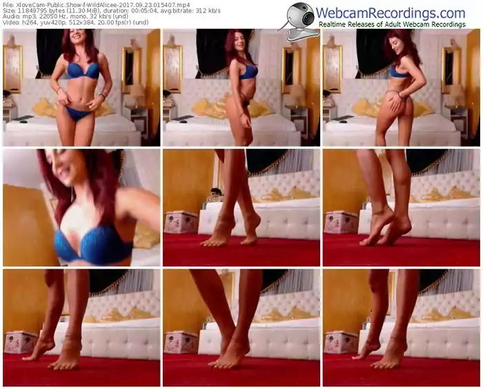xlovecam-wildalicee-webcam-show-09_23_2017-01_54_07