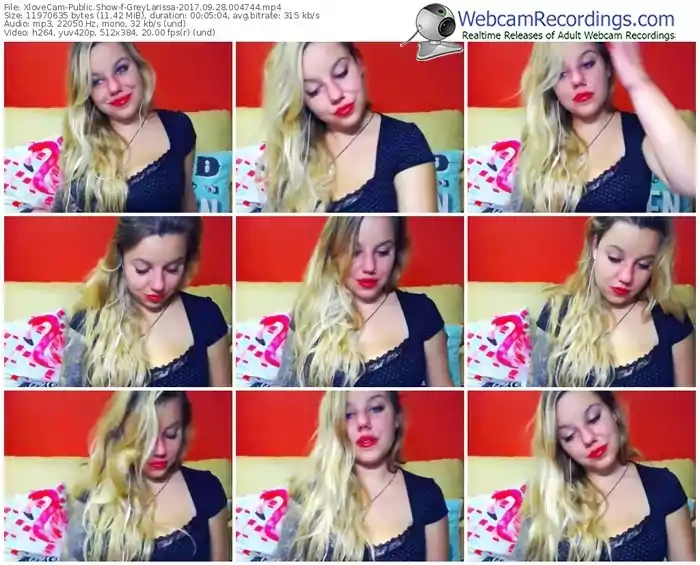 xlovecam-greylarissa-webcam-show-09_28_2017-00_47_44
