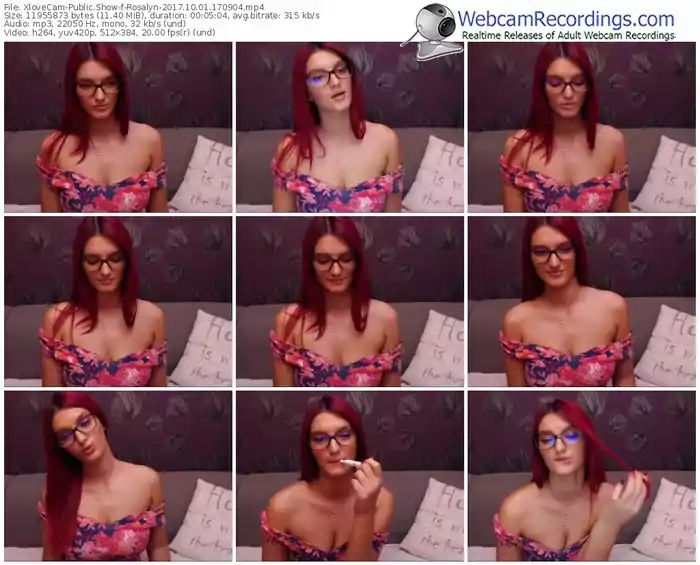xlovecam-rosalyn-webcam-show-10_01_2017-17_09_04