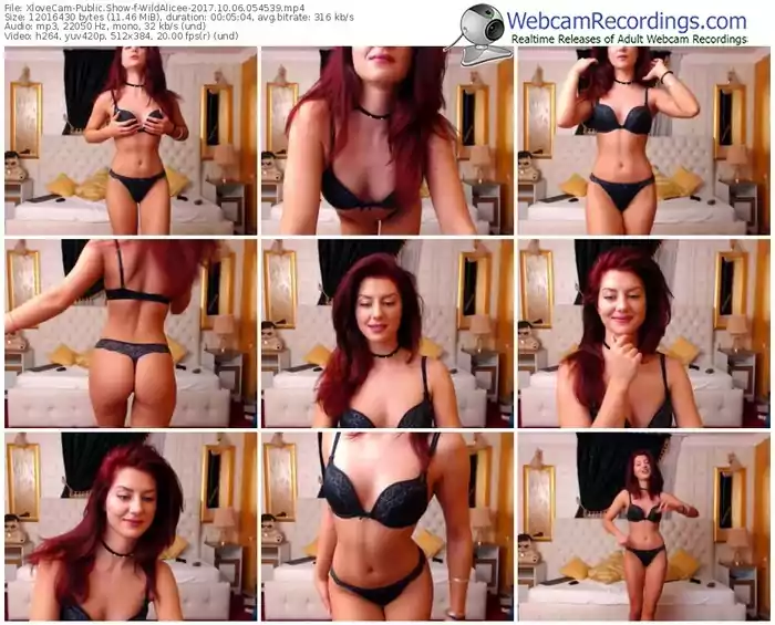 xlovecam-wildalicee-webcam-show-10_06_2017-05_45_39