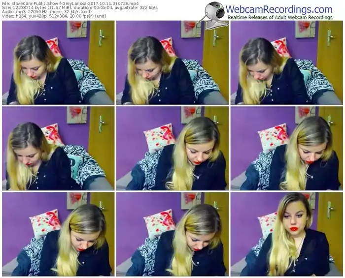 xlovecam-greylarissa-webcam-show-10_11_2017-01_07_26