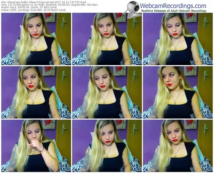 xlovecam-greylarissa-webcam-show-10_11_2017-13_17_37
