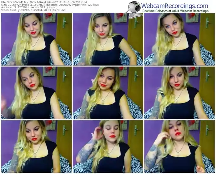 xlovecam-greylarissa-webcam-show-10_11_2017-13_47_38