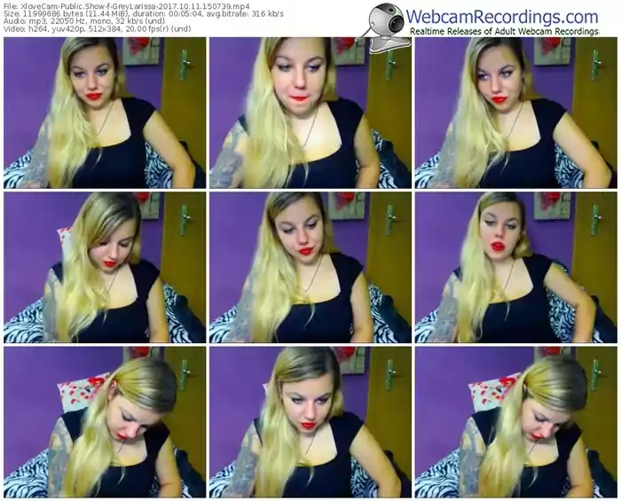 xlovecam-greylarissa-webcam-show-10_11_2017-15_07_39