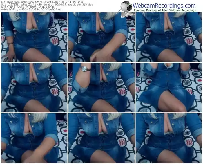 xlovecam-widedelightx-webcam-show-10_17_2017-14_14_50