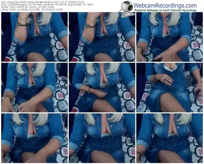 xlovecam-widedelightx-webcam-show-10_17_2017-15_59_52