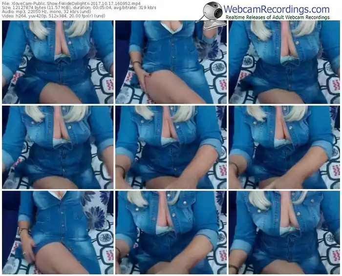 xlovecam-widedelightx-webcam-show-10_17_2017-16_09_52