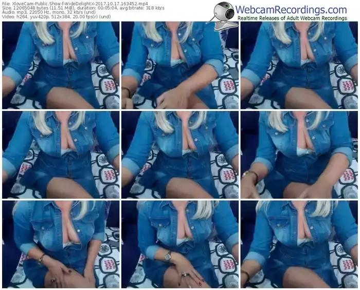 xlovecam-widedelightx-webcam-show-10_17_2017-16_34_52