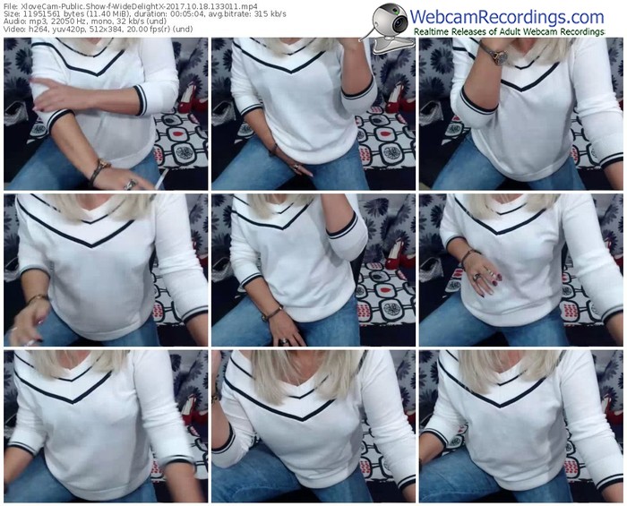 xlovecam-widedelightx-webcam-show-10_18_2017-13_30_11
