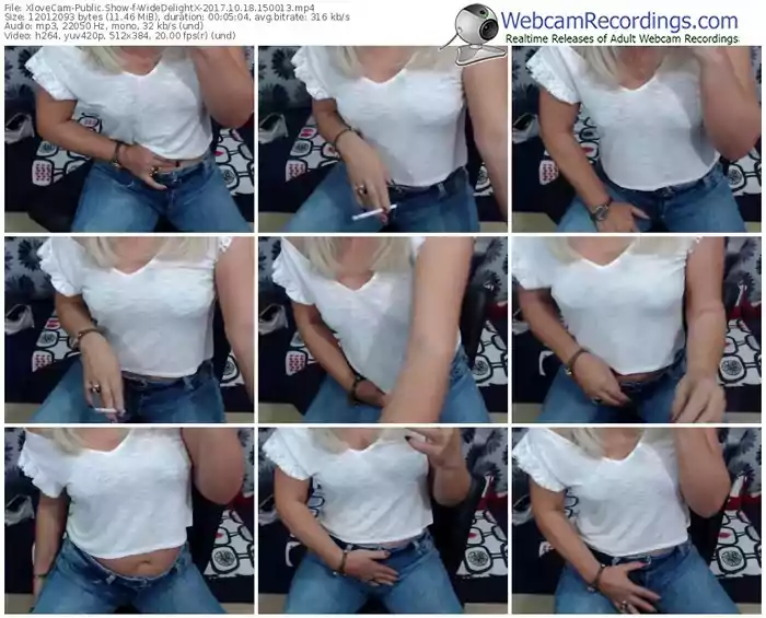 xlovecam-widedelightx-webcam-show-10_18_2017-15_00_13