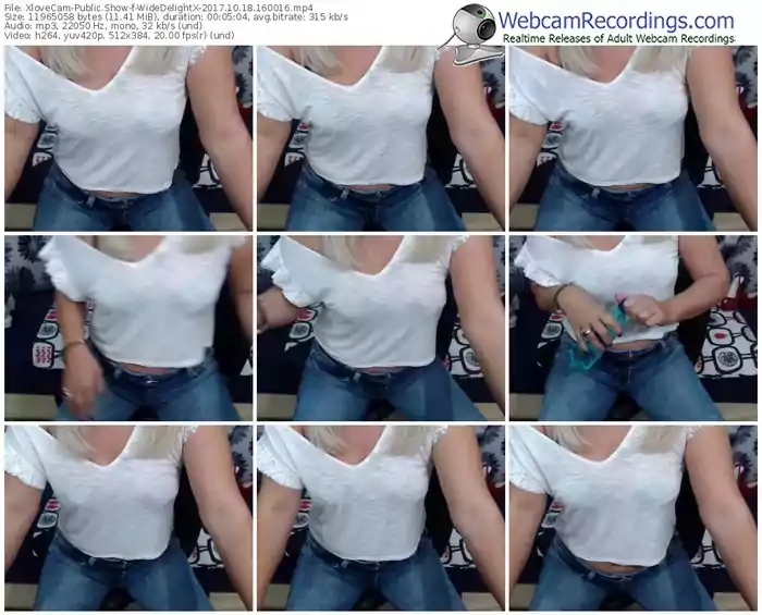 xlovecam-widedelightx-webcam-show-10_18_2017-16_00_16