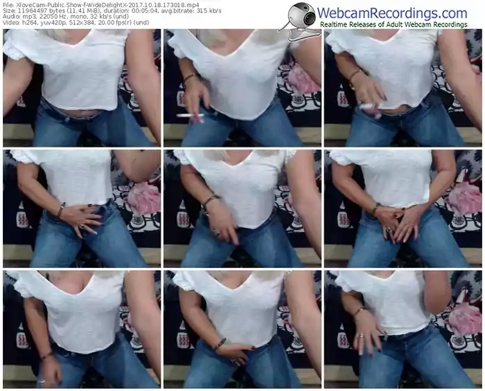 xlovecam-widedelightx-webcam-show-10_18_2017-17_30_18