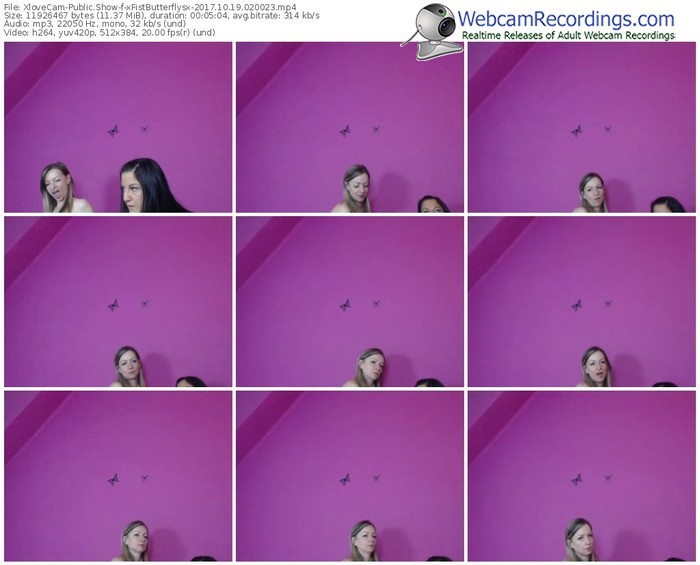 xlovecam-xfistbutterflysx-webcam-show-10_19_2017-02_00_23
