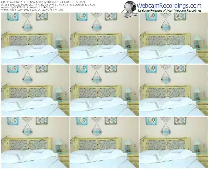 xlovecam-shirleychase-webcam-show-10_20_2017-06_05_50