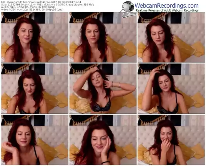 xlovecam-wildalicee-webcam-show-10_20_2017-03_10_47