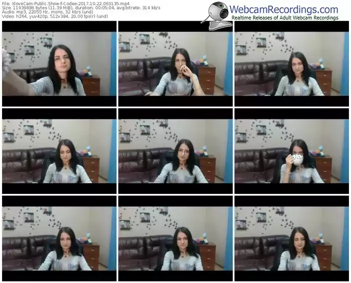 xlovecam-codee-webcam-show-10_22_2017-06_31_35