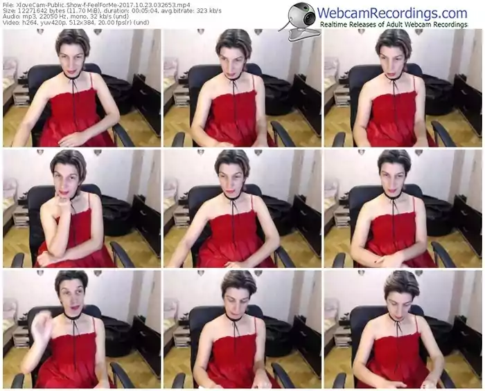 xlovecam-feelforme-webcam-show-10_23_2017-03_26_53