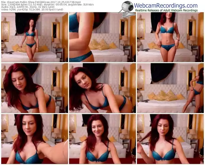 xlovecam-wildalicee-webcam-show-10_25_2017-03_17_38