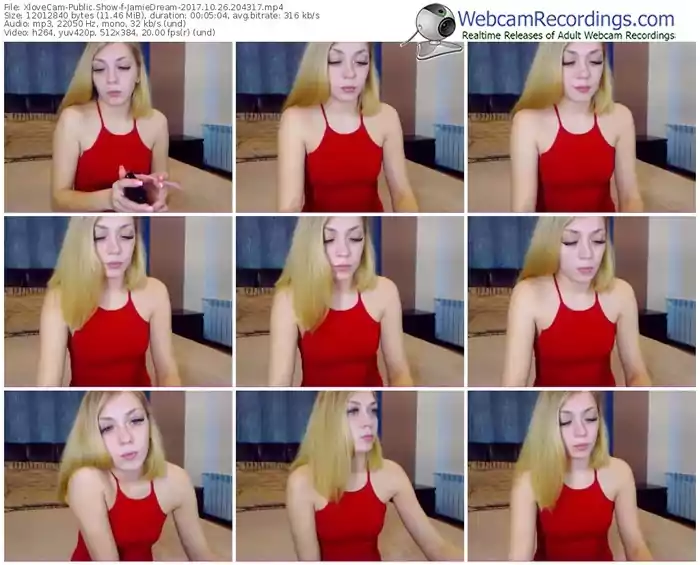 xlovecam-jamiedream-webcam-show-10_26_2017-20_43_17