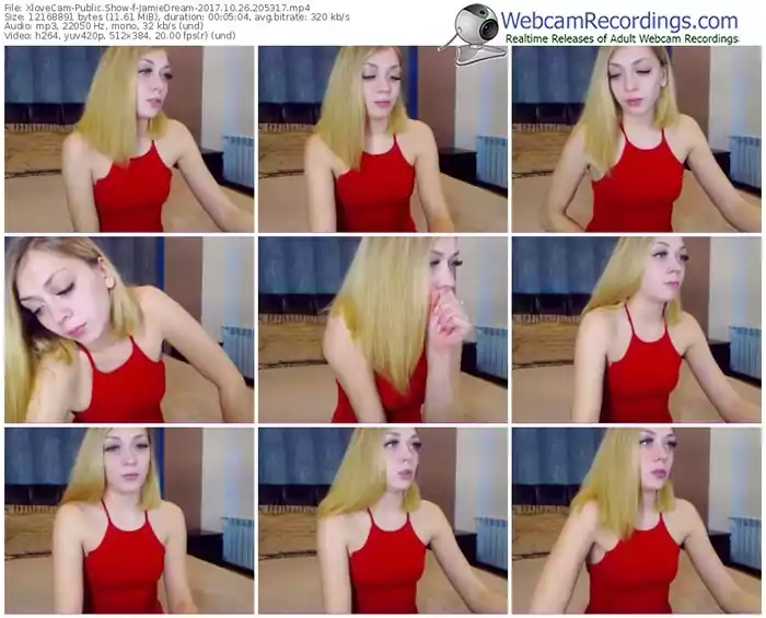 xlovecam-jamiedream-webcam-show-10_26_2017-20_53_17