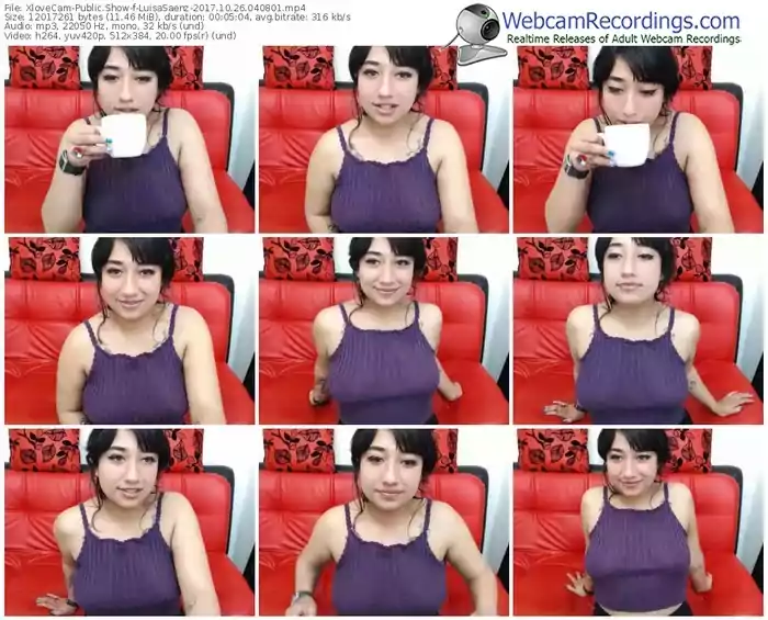 xlovecam-luisasaenz-webcam-show-10_26_2017-04_08_01