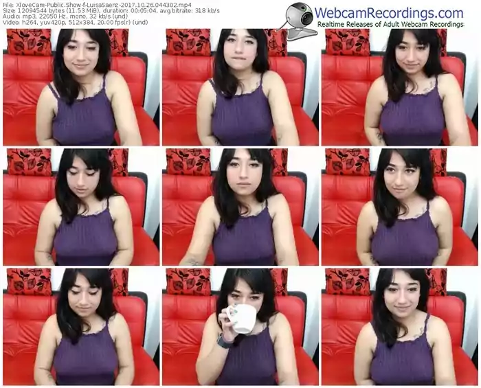 xlovecam-luisasaenz-webcam-show-10_26_2017-04_43_02