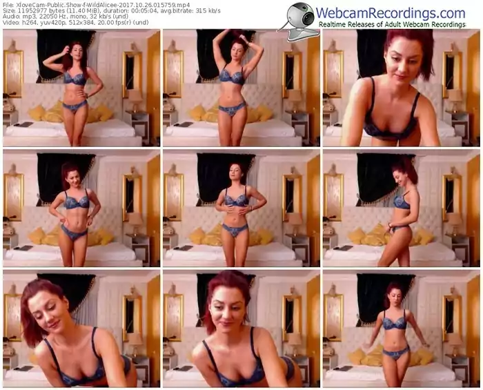 xlovecam-wildalicee-webcam-show-10_26_2017-01_57_59