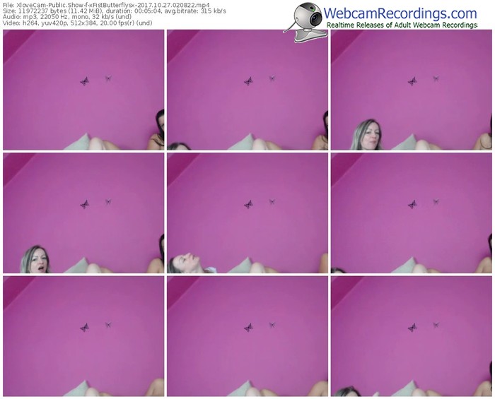xlovecam-xfistbutterflysx-webcam-show-10_27_2017-02_08_22