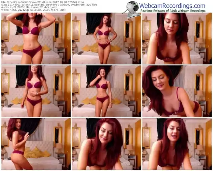 xlovecam-wildalicee-webcam-show-10_28_2017-02_58_44