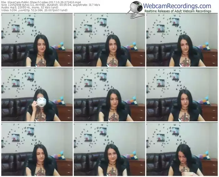 xlovecam-codee-webcam-show-10_29_2017-07_24_10