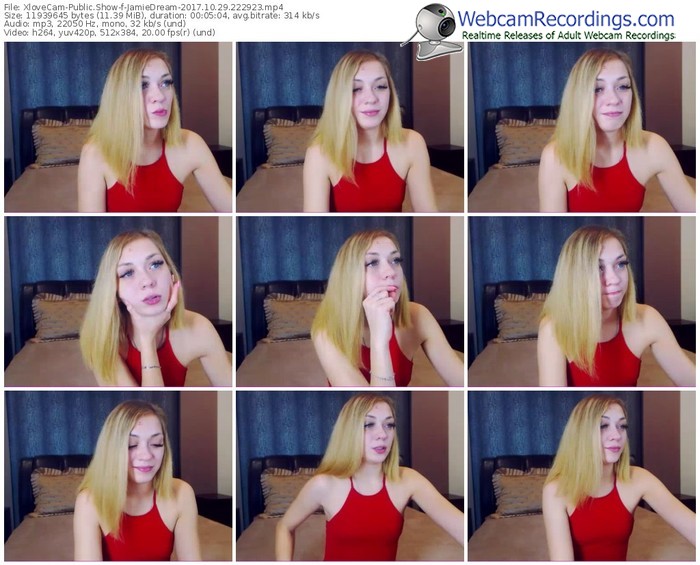 xlovecam-jamiedream-webcam-show-10_29_2017-22_29_23
