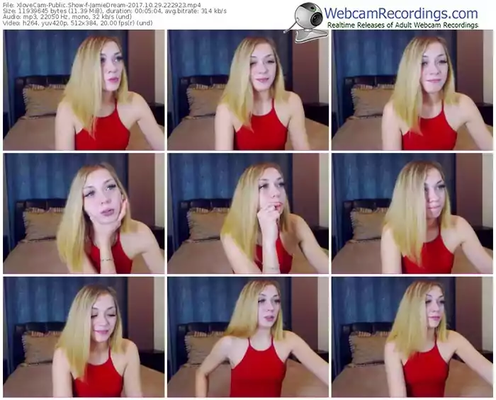 xlovecam-jamiedream-webcam-show-10_29_2017-22_29_23