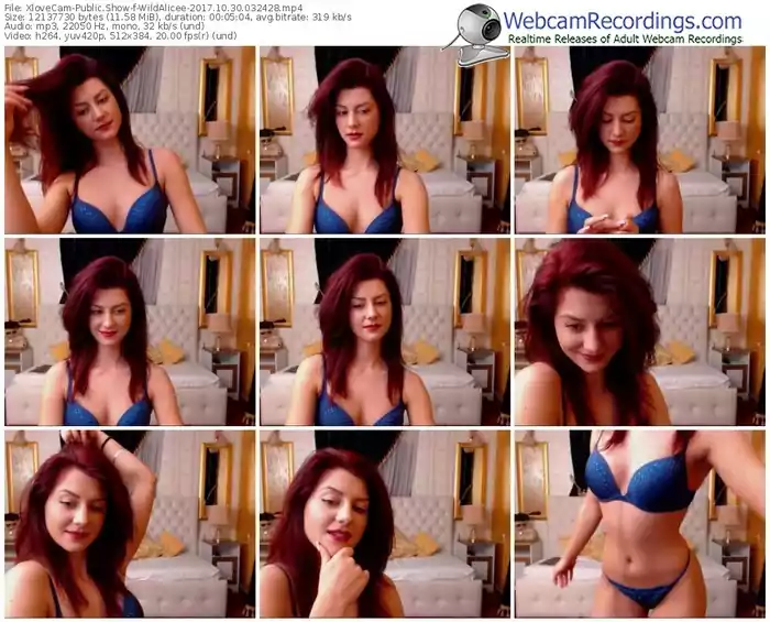 xlovecam-wildalicee-webcam-show-10_30_2017-03_24_28