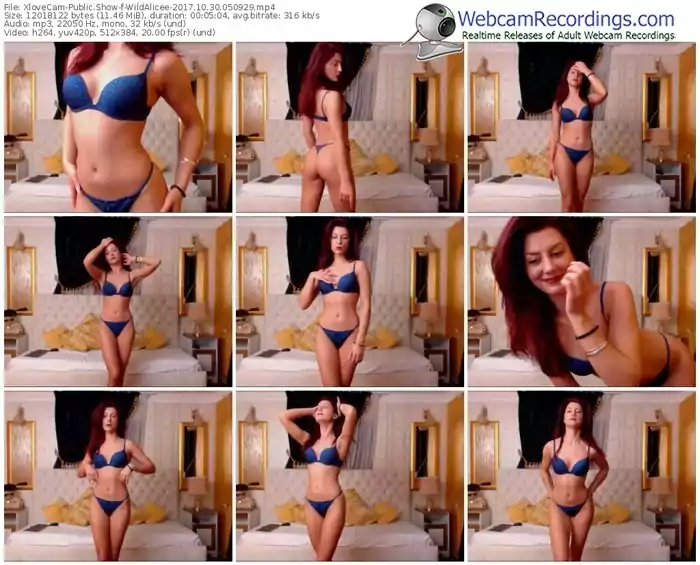 xlovecam-wildalicee-webcam-show-10_30_2017-05_09_29