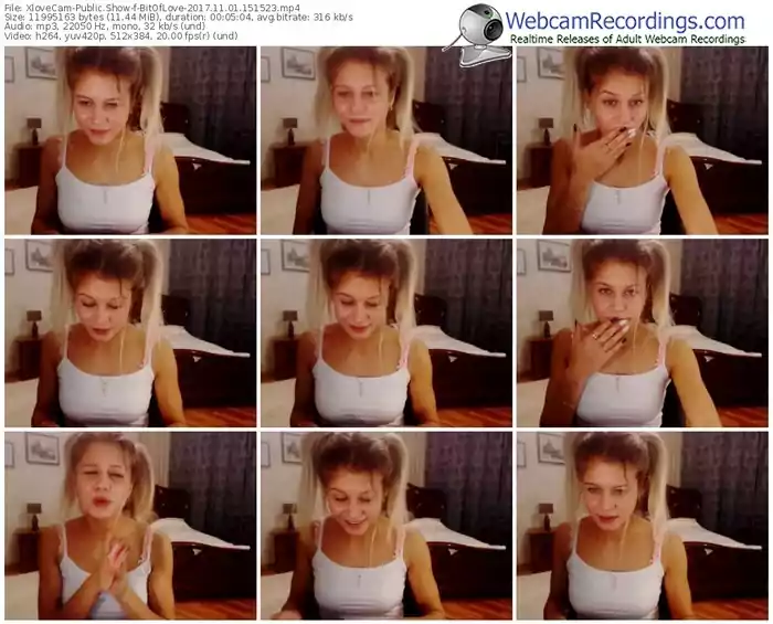 xlovecam-bitoflove-webcam-show-11_01_2017-15_15_23