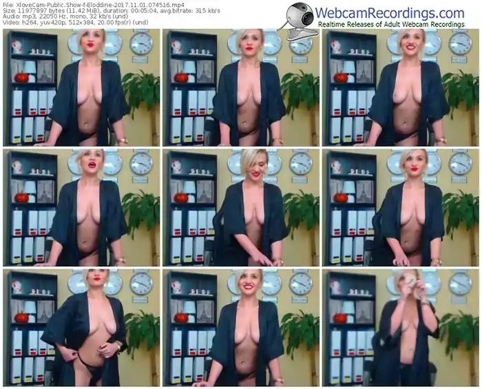 xlovecam-eloddine-webcam-show-11_01_2017-07_45_16