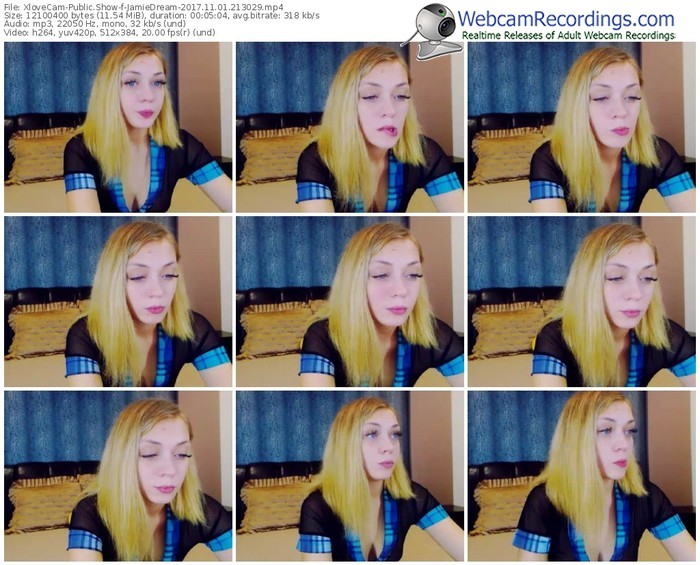 xlovecam-jamiedream-webcam-show-11_01_2017-21_30_29