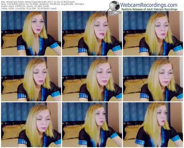 xlovecam-jamiedream-webcam-show-11_01_2017-21_30_29