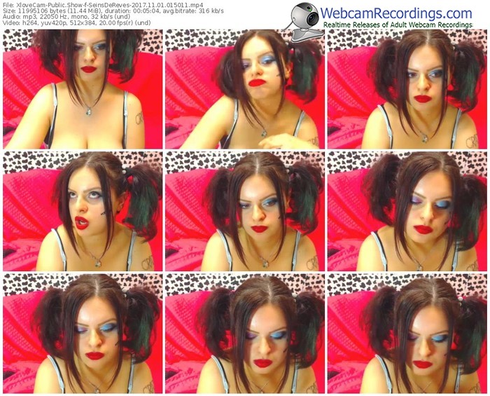 xlovecam-seinsdereves-webcam-show-11_01_2017-01_50_11