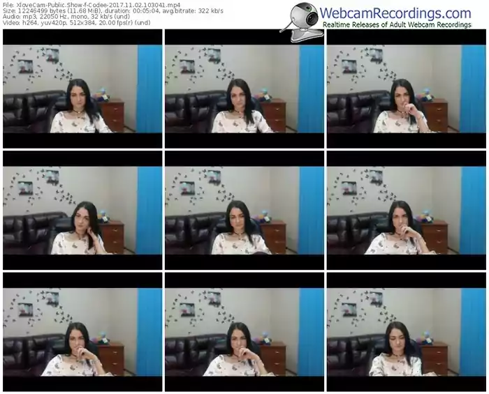 xlovecam-codee-webcam-show-11_02_2017-10_30_41