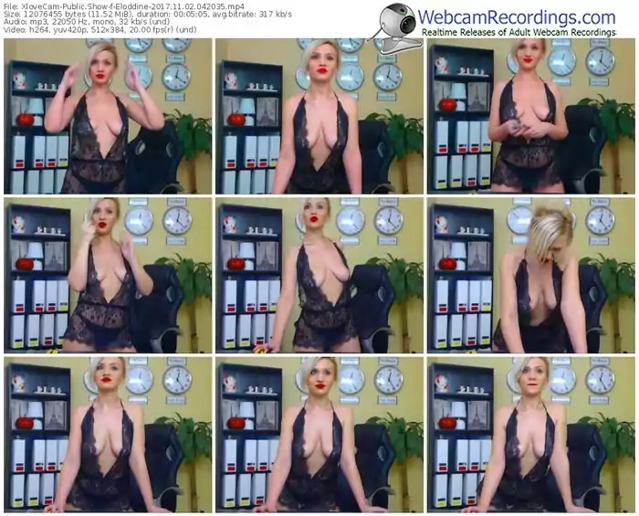 xlovecam-eloddine-webcam-show-11_02_2017-04_20_35