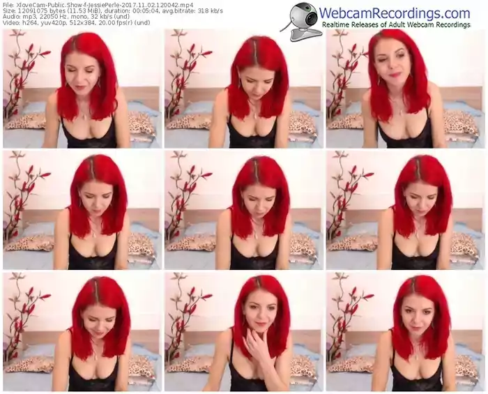 xlovecam-jessieperle-webcam-show-11_02_2017-12_00_42